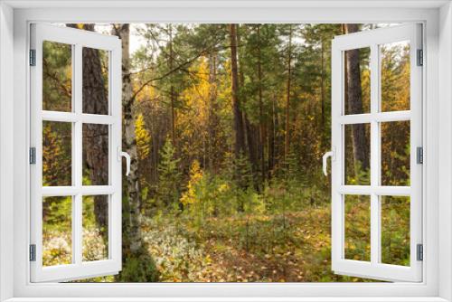 Fototapeta Naklejka Na Ścianę Okno 3D - beautiful autumn landscape with natural multicolored trees