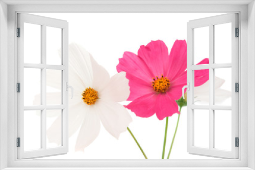 Fototapeta Naklejka Na Ścianę Okno 3D - flowers isolated