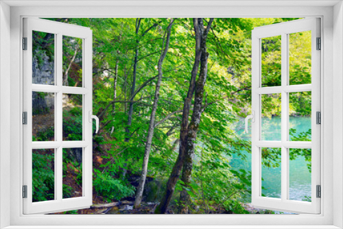 Fototapeta Naklejka Na Ścianę Okno 3D - Late summer landscape in Plitvice National Park, Croatia, Europe