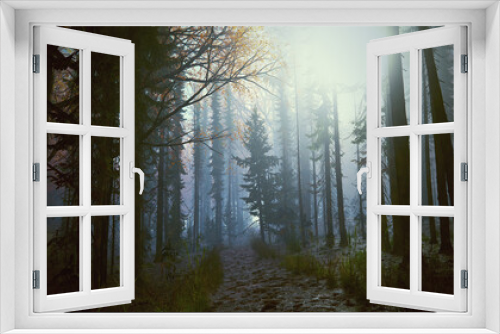 Fototapeta Naklejka Na Ścianę Okno 3D - Forêt sombre avec la lumière qui transperce les feuillages et le brouillard