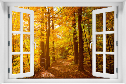 Fototapeta Naklejka Na Ścianę Okno 3D - Herbst Fränkische Schweiz