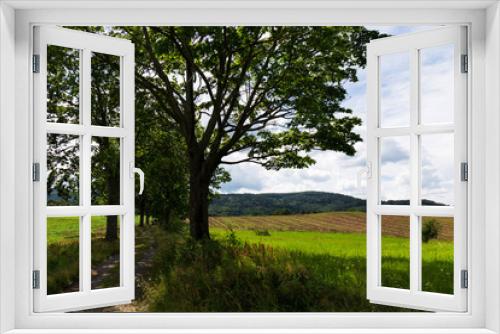 Fototapeta Naklejka Na Ścianę Okno 3D - Beautiful clean Landscape in the Rychlebske Mountains, Northern Moravia, Czech Republic