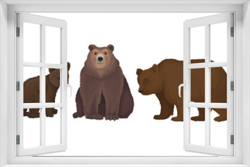 Fototapeta Naklejka Na Ścianę Okno 3D - Wild Brown Bear as Forest Habitant Vector Set