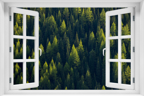 Fototapeta Naklejka Na Ścianę Okno 3D - Forest, treescape
