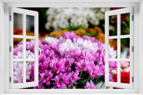 Fototapeta Naklejka Na Ścianę Okno 3D - chrysanthemums. chrysanthemums in a pot