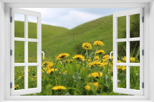 Fototapeta Naklejka Na Ścianę Okno 3D - meadow with dandelions