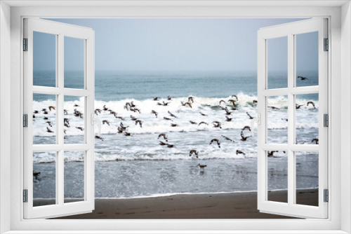 Fototapeta Naklejka Na Ścianę Okno 3D - Ocean Seagulls