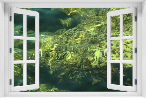 Fototapeta Naklejka Na Ścianę Okno 3D - Fish under water. Cyprus. Pathos. Beach.
