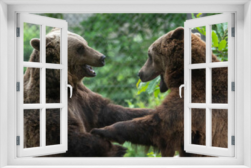Fototapeta Naklejka Na Ścianę Okno 3D - Happy bears