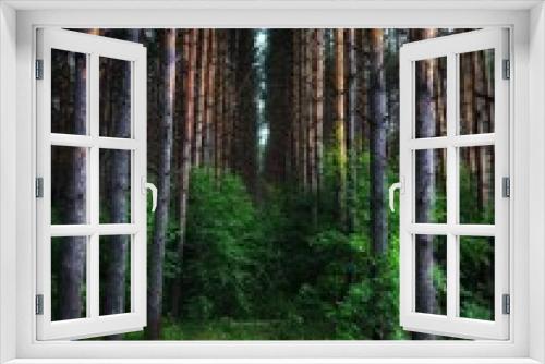 Fototapeta Naklejka Na Ścianę Okno 3D - forest in autumn