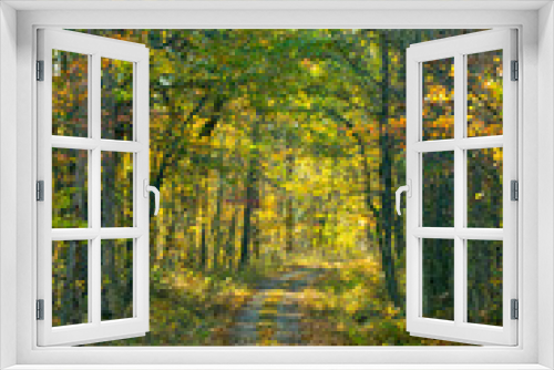Fototapeta Naklejka Na Ścianę Okno 3D - Country Road in early fall