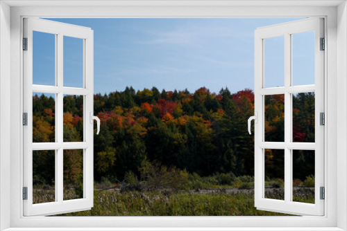 Fototapeta Naklejka Na Ścianę Okno 3D - Fall in Vermont