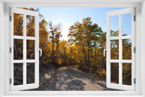 Fototapeta Naklejka Na Ścianę Okno 3D - Landscape view of a dirt road in the country, framed by trees with beautiful golden and orange fall colors
