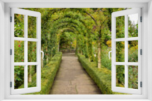 Fototapeta Naklejka Na Ścianę Okno 3D - A picture of vine rose tunnel and a pathway in autumn.   Victoria BC Canada
