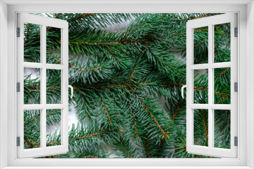 Fototapeta Naklejka Na Ścianę Okno 3D - branch christmas tree background green evergreen horizontal blue fur pine