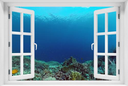 Fototapeta Naklejka Na Ścianę Okno 3D - Tropical Fish Corals Marine Reef. Underwater Sea Tropical Life. Tropical underwater sea fishes. Underwater fish reef marine. Tropical colorful underwater seascape. Panglao, Bohol, Philippines.