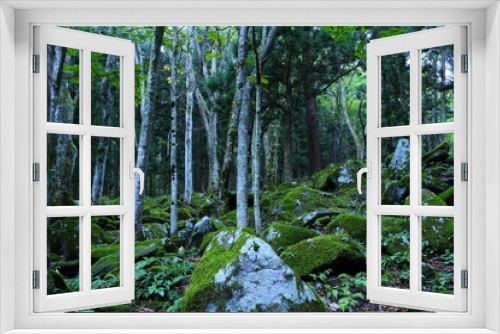 Fototapeta Naklejka Na Ścianę Okno 3D - 日本　遠野の風景
