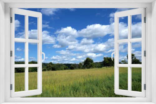 Fototapeta Naklejka Na Ścianę Okno 3D - Wiese mit hohem Gras und Baumreihe bei sonnigem Wetter mit blauem Himmel und weißen Wolken - Stockfoto