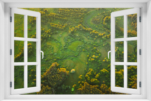 Fototapeta Naklejka Na Ścianę Okno 3D - Aerial View Green Forest Woods park And Creek Stream Landscape In Summer Evening. Top View Of Beautiful European Nature From High Attitude. Drone View. Bird's Eye View