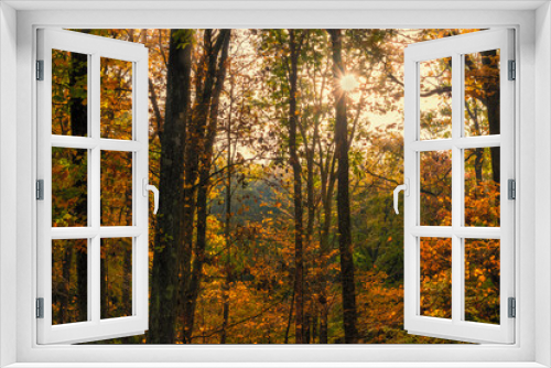 Fototapeta Naklejka Na Ścianę Okno 3D - Autumn in the forest with a sunburst