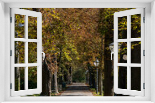 Fototapeta Naklejka Na Ścianę Okno 3D - Eine Allee im Stadtpark im Herbst