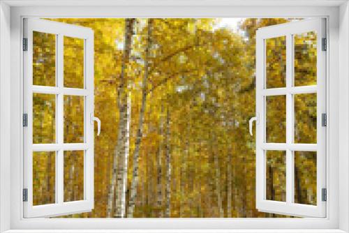 Fototapeta Naklejka Na Ścianę Okno 3D - Autumn landscape with yellow trees. Beautiful bright view of nature in the fall lit by natural sunlight.