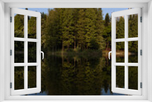 Fototapeta Naklejka Na Ścianę Okno 3D - Green trees by the lake in which the trees are reflected. Multi-story buildings can be seen behind the trees. Vertical orientation