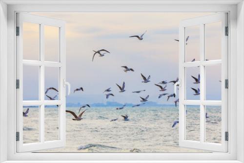 Fototapeta Naklejka Na Ścianę Okno 3D - A flock of seagulls and cormorants over the sea