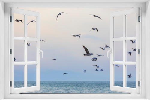 Fototapeta Naklejka Na Ścianę Okno 3D - A flock of seagulls and cormorants over the sea