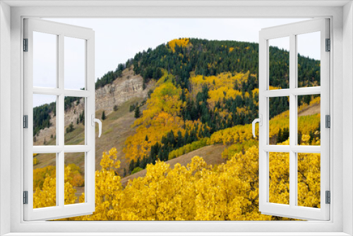 Fototapeta Naklejka Na Ścianę Okno 3D - Tree Filled Mountain 