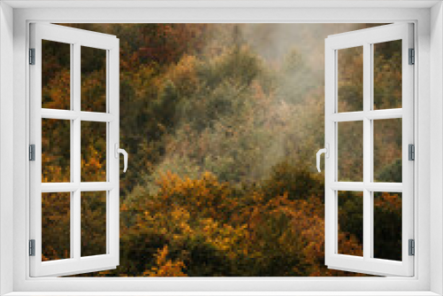 Fototapeta Naklejka Na Ścianę Okno 3D - aerial view of an autumn forest with fog and yellow and orange trees