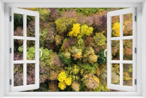 Fototapeta Naklejka Na Ścianę Okno 3D - Aerial view of autumn forest, trees with yellow foliage, top view