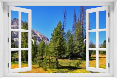 Fototapeta Naklejka Na Ścianę Okno 3D - Lake Cuberant hiking trail views of ponds, forest and meadows with Bald Mountain Mount Marsell in Uinta Mountains from Pass Lake Trailhead, Utah, United States.