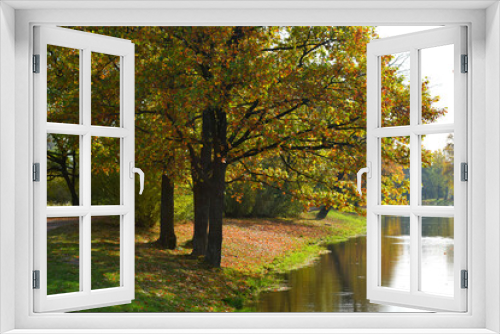 Fototapeta Naklejka Na Ścianę Okno 3D - autumn in the park