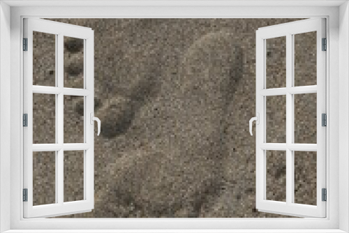 Fototapeta Naklejka Na Ścianę Okno 3D - footprint in sand