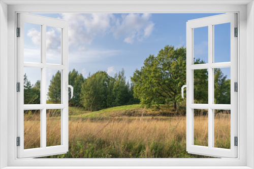 Fototapeta Naklejka Na Ścianę Okno 3D - Landscape with the hills, fields, forests and oak on the hill on sunny  August afternoon