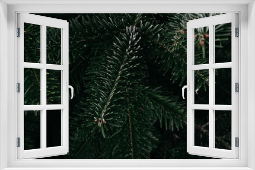 Fototapeta Naklejka Na Ścianę Okno 3D - Christmas minimalistic background on the desktop with a Christmas tree. Dark green prickly branches of spruce close-up. Horizontal banner.