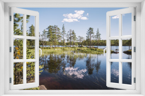 Fototapeta Naklejka Na Ścianę Okno 3D - The picturesque view of the Karelian forest