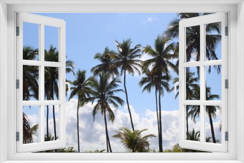 Fototapeta Naklejka Na Ścianę Okno 3D - palm tree coconut brazilian beach paradise 
