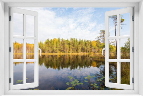 Fototapeta Naklejka Na Ścianę Okno 3D - Small autumn lake in the taiga of the Arkhangelsk region, northern Russia