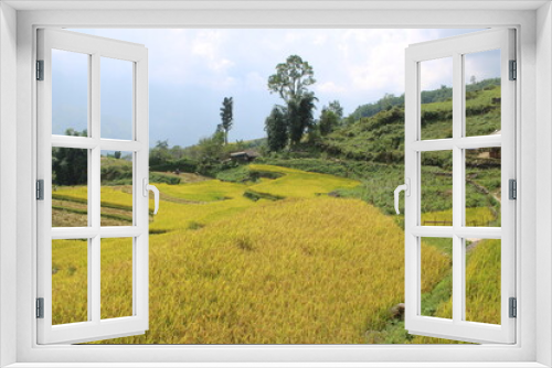 Fototapeta Naklejka Na Ścianę Okno 3D - In the Rice Fields around Sa Pa in Northern Vietnam