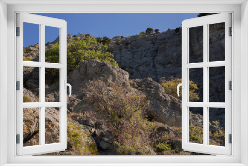 Fototapeta Naklejka Na Ścianę Okno 3D - cliff formation with small pine trees growing on its surface and with a dense forest in the background