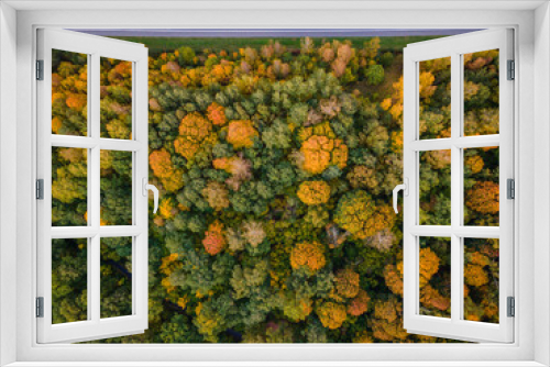 Fototapeta Naklejka Na Ścianę Okno 3D - Aerial view of autumn colors in the forest with highway crossing it