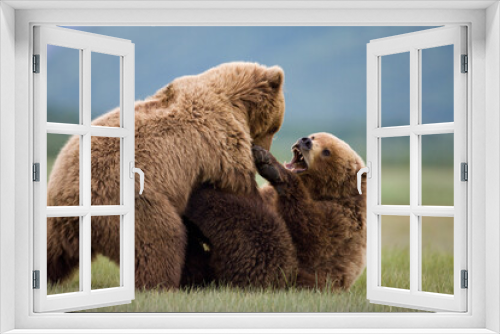 Fototapeta Naklejka Na Ścianę Okno 3D - Grizzly Bears Wrestling, Katmai National Park, Alaska