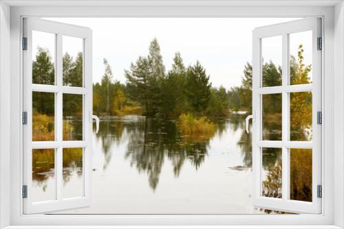 Fototapeta Naklejka Na Ścianę Okno 3D - Swamp Landscape. Conservation area, swamp surrounded by pines reflecting in the water, Belarus.