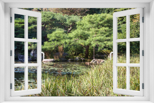 Fototapeta Naklejka Na Ścianę Okno 3D - The picturesque cultivated pine trees in the garden of Heian-jingu Shrine. Kyoto. Japan
