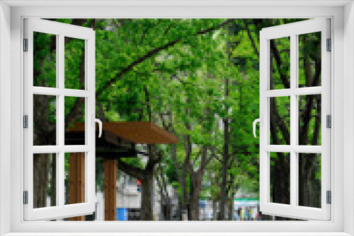 Fototapeta Naklejka Na Ścianę Okno 3D - 紫通りの緑道