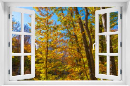 Fototapeta Naklejka Na Ścianę Okno 3D - Autumn forest dry yellow leaves