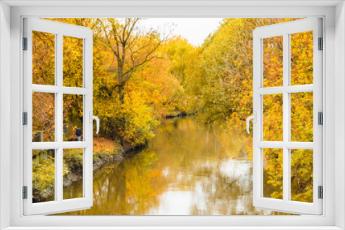 Fototapeta Naklejka Na Ścianę Okno 3D - Picturesque autumn landscape of river and bright green and yellow trees and bushes