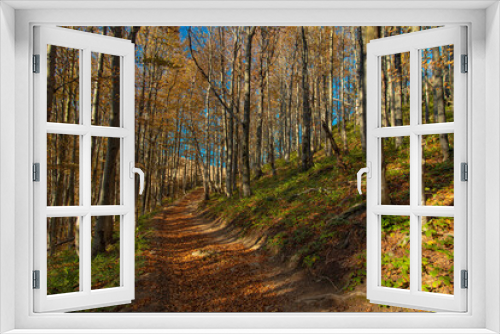 Fototapeta Naklejka Na Ścianę Okno 3D - golden season October mountain forest landscape nature photography with yellow foliage and peaceful lonely dirt path way between trees in highland area in Carpathian mountain